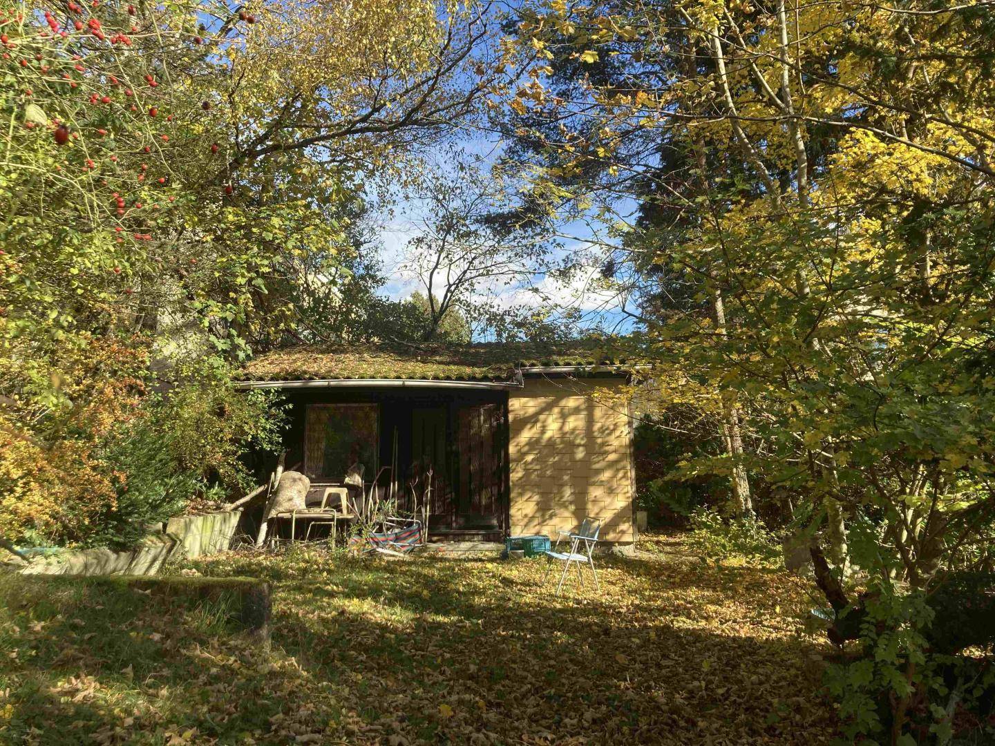 Rustikales Gartenhaus mit begrüntem Flachdach und Sitzgelegenheiten im naturbelassenen Gartenbereich.