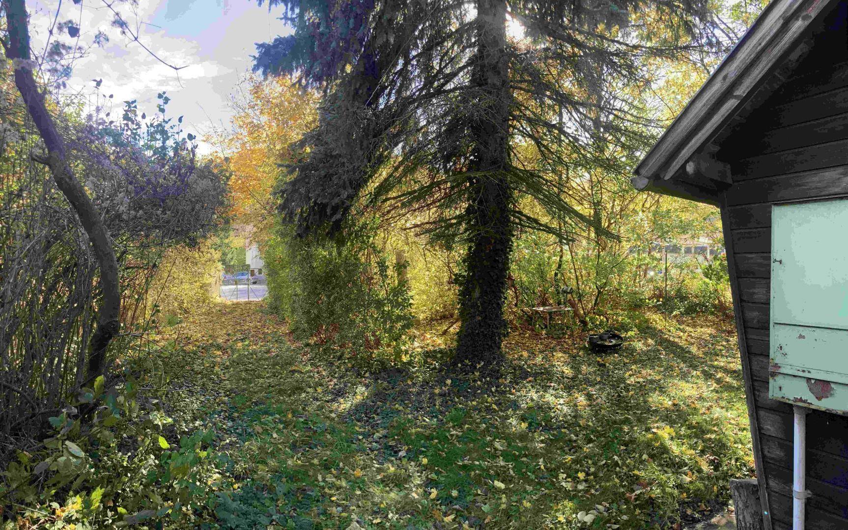 Gartenweg durch eine grüne Fläche mit Herbstlaub, umgeben von Bäumen und einem kleinen Holzschuppen.