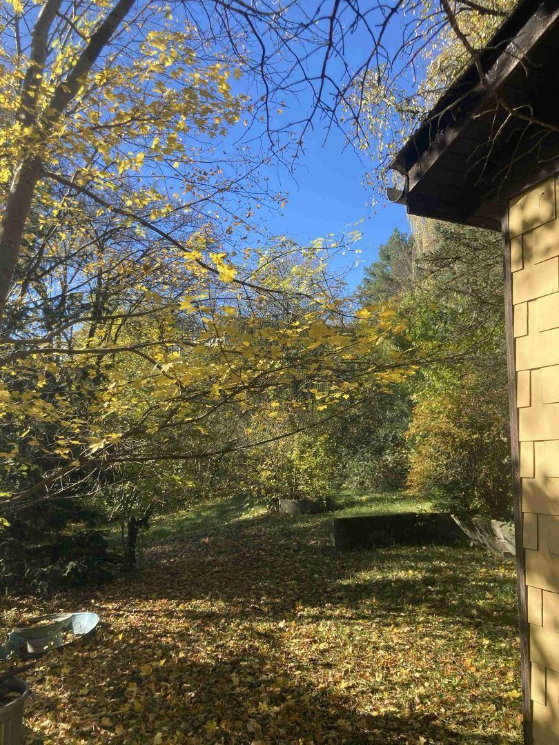 Blick vom Gebäude in einen sonnigen Gartenbereich mit herbstlichen Bäumen und Laub auf dem Boden.