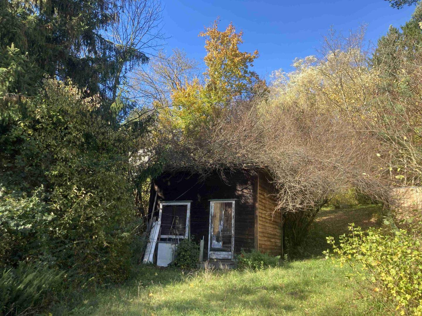 Kleiner, verwachsener Holzschuppen oder Gartenhaus mit zwei Fenstern, umgeben von üppiger Vegetation.
