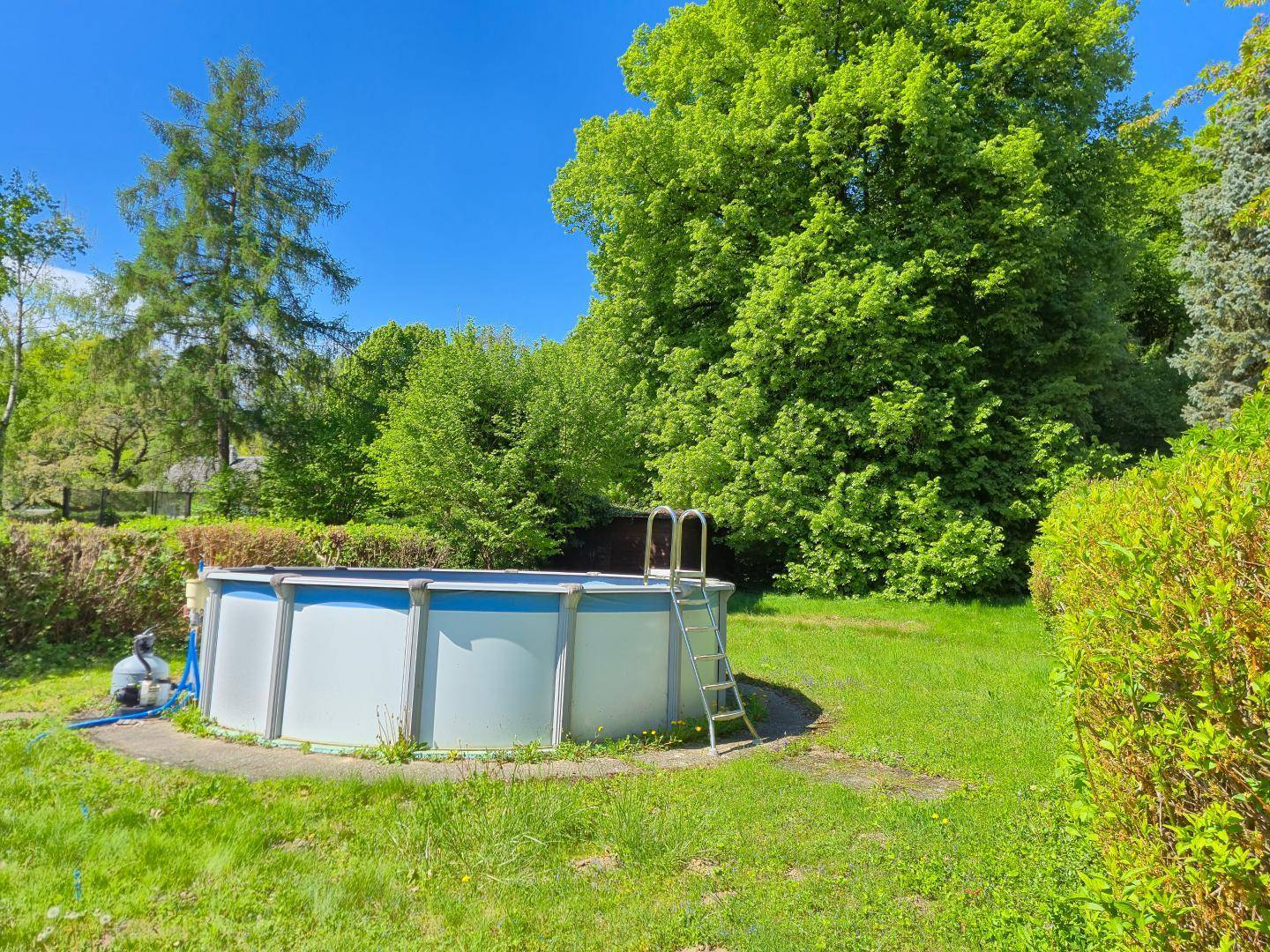 Runder Aufstellpool im grünen Garten, umgeben von hohen Bäumen und Sträuchern an einem sonnigen Tag.
