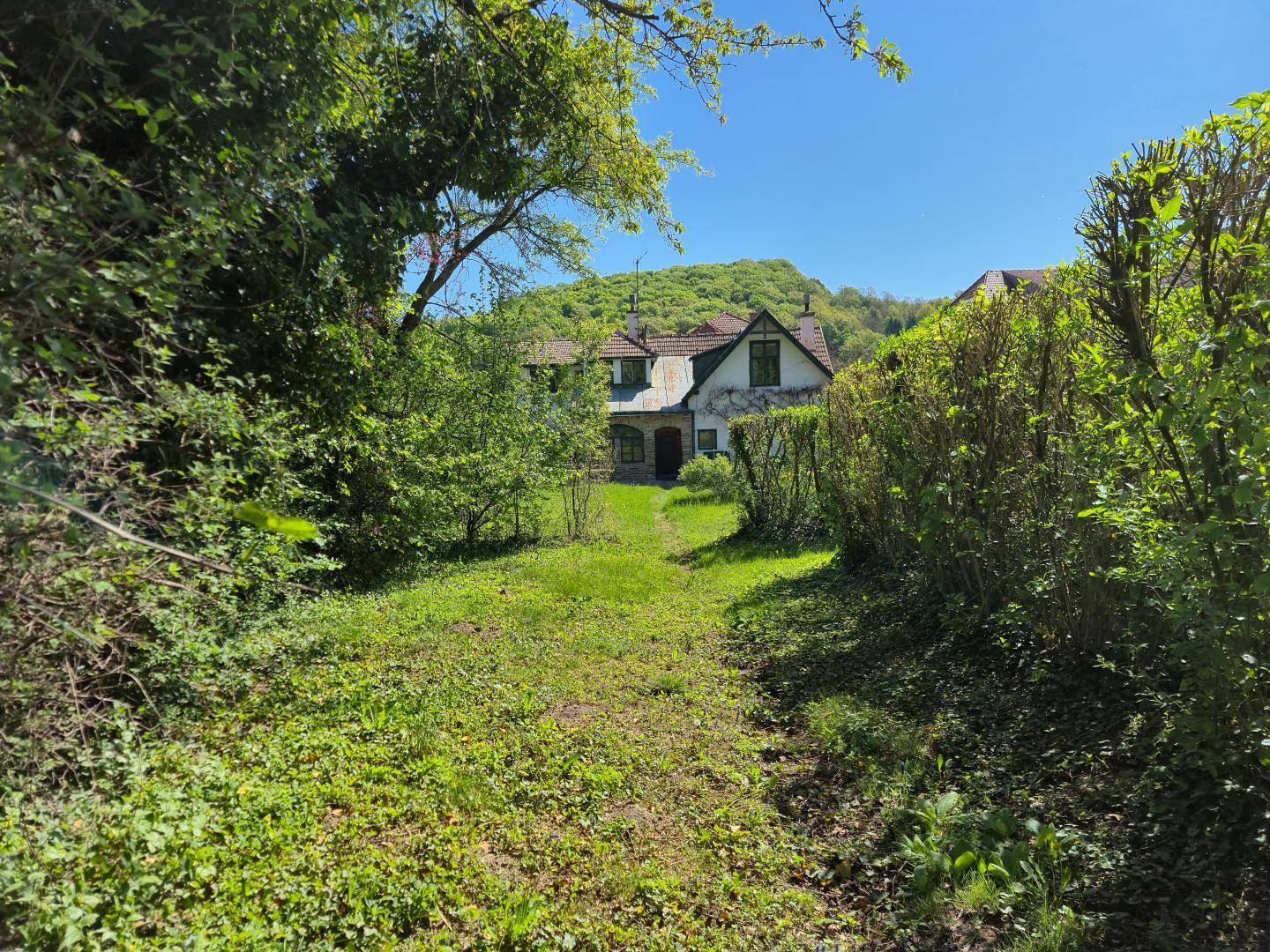 Grüner Pfad führt durch dichte Vegetation zum Haus, umgeben von üppiger Natur und Bäumen.