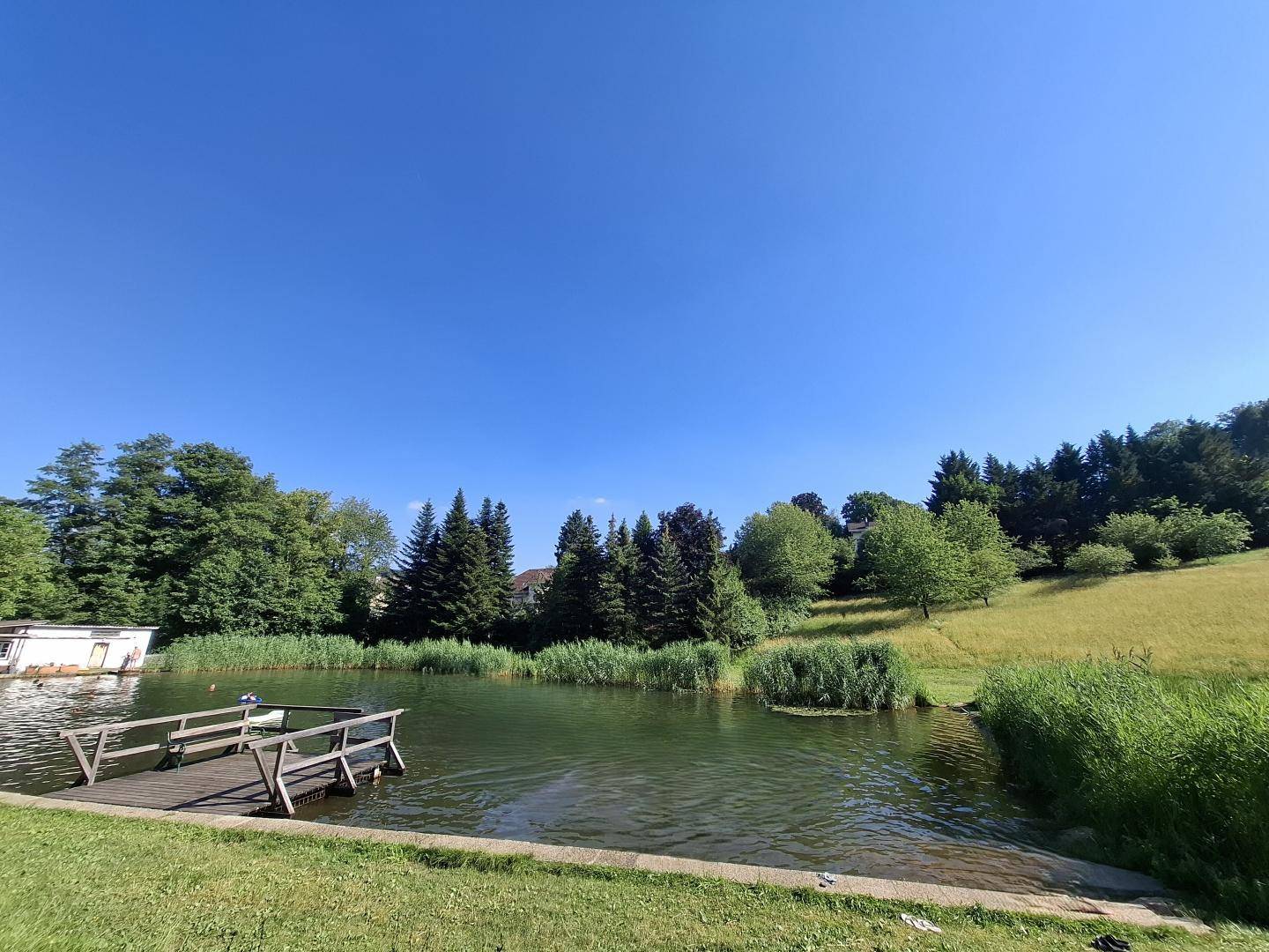 Malerischer See mit Steg, umgeben von üppiger Vegetation und Bäumen unter blauem Himmel.