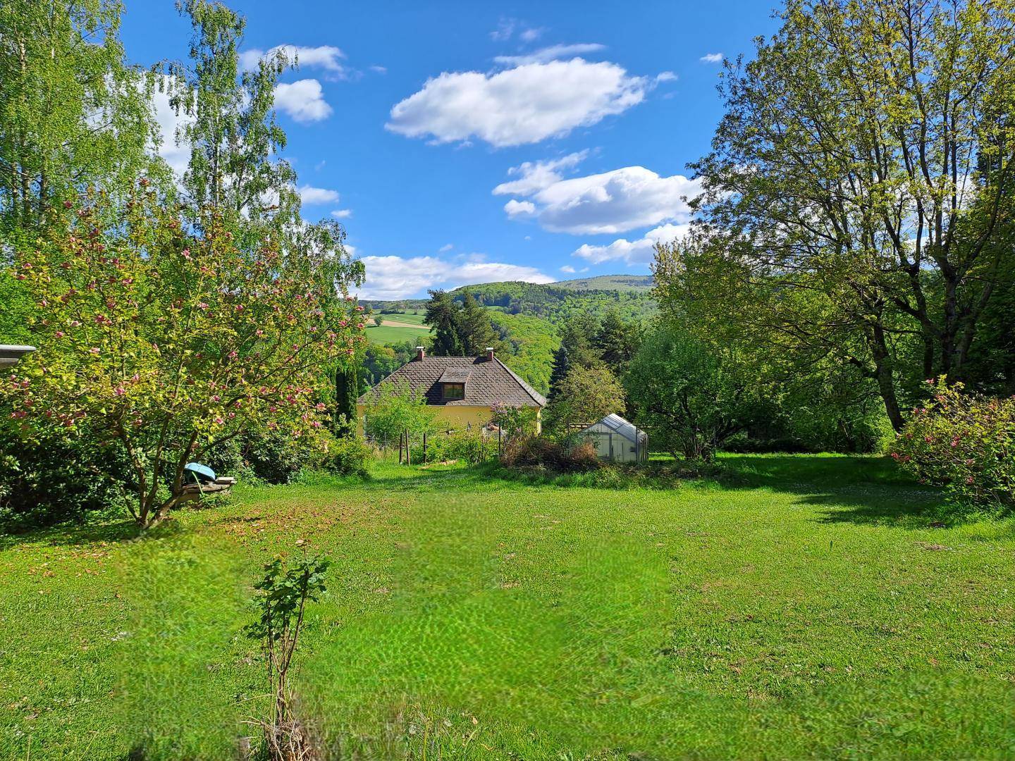 Großer, sonniger Garten mit weitläufiger Rasenfläche, verschiedenen Bäumen und Blick auf die Hügellandschaft.