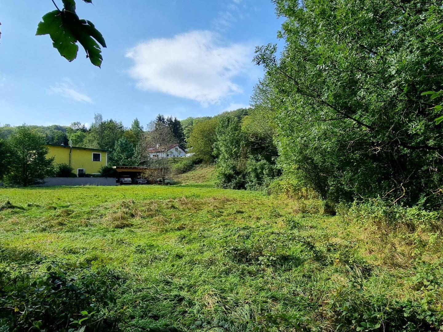 Weitläufige Wiesenfläche mit Bäumen und einem gelben Haus im Hintergrund.