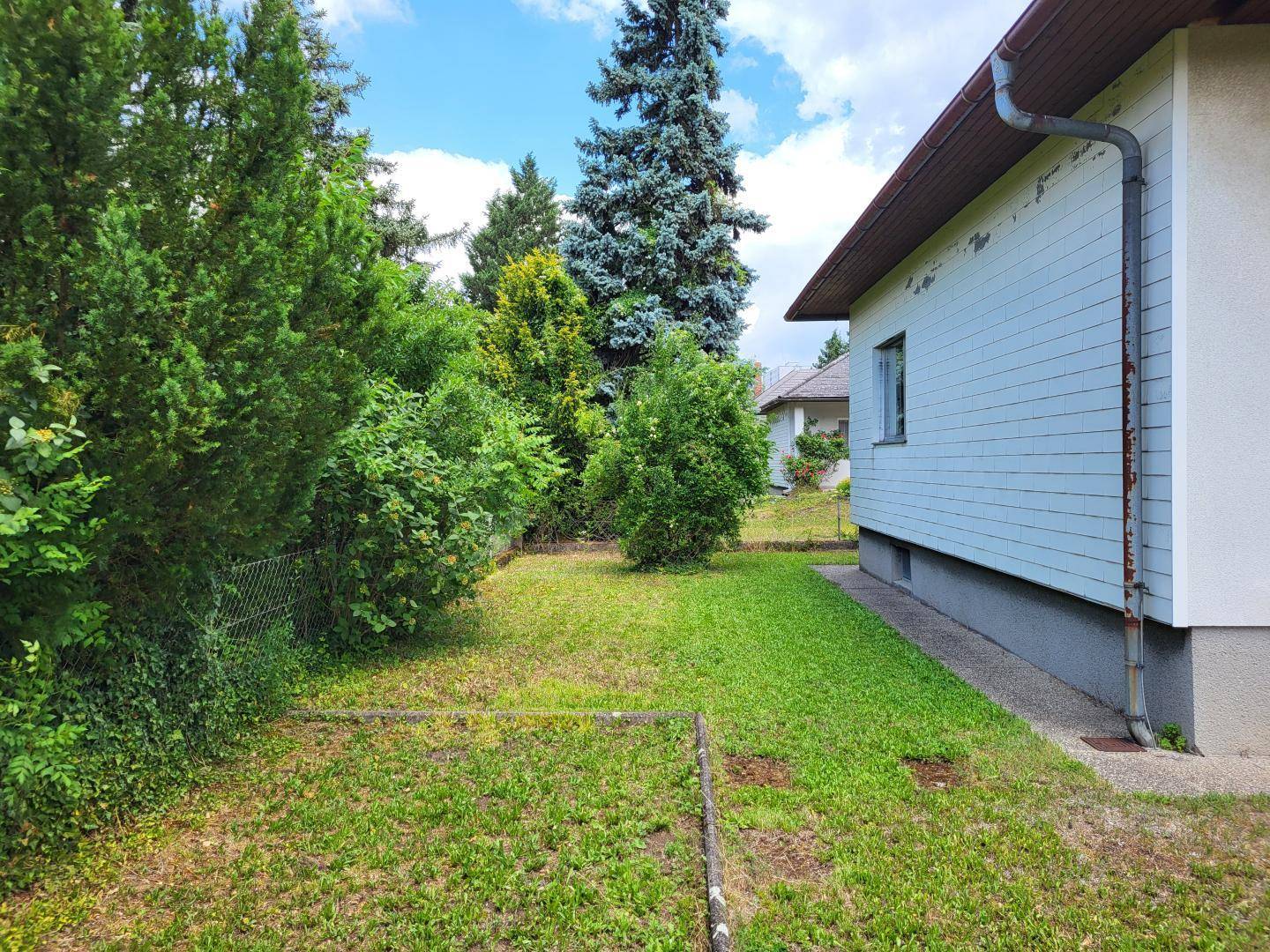 Seitlicher Gartenbereich mit gepflegtem Rasen und verschiedenen Sträuchern und Bäumen.