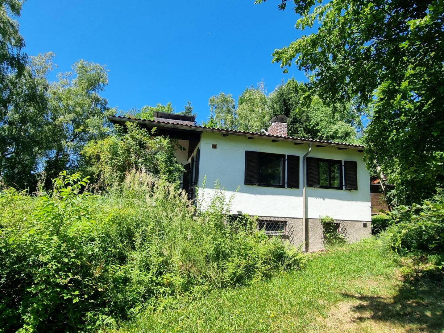 Hausfassade, teilweise von überwucherten Büschen und Bäumen verdeckt, mit Fensterläden.