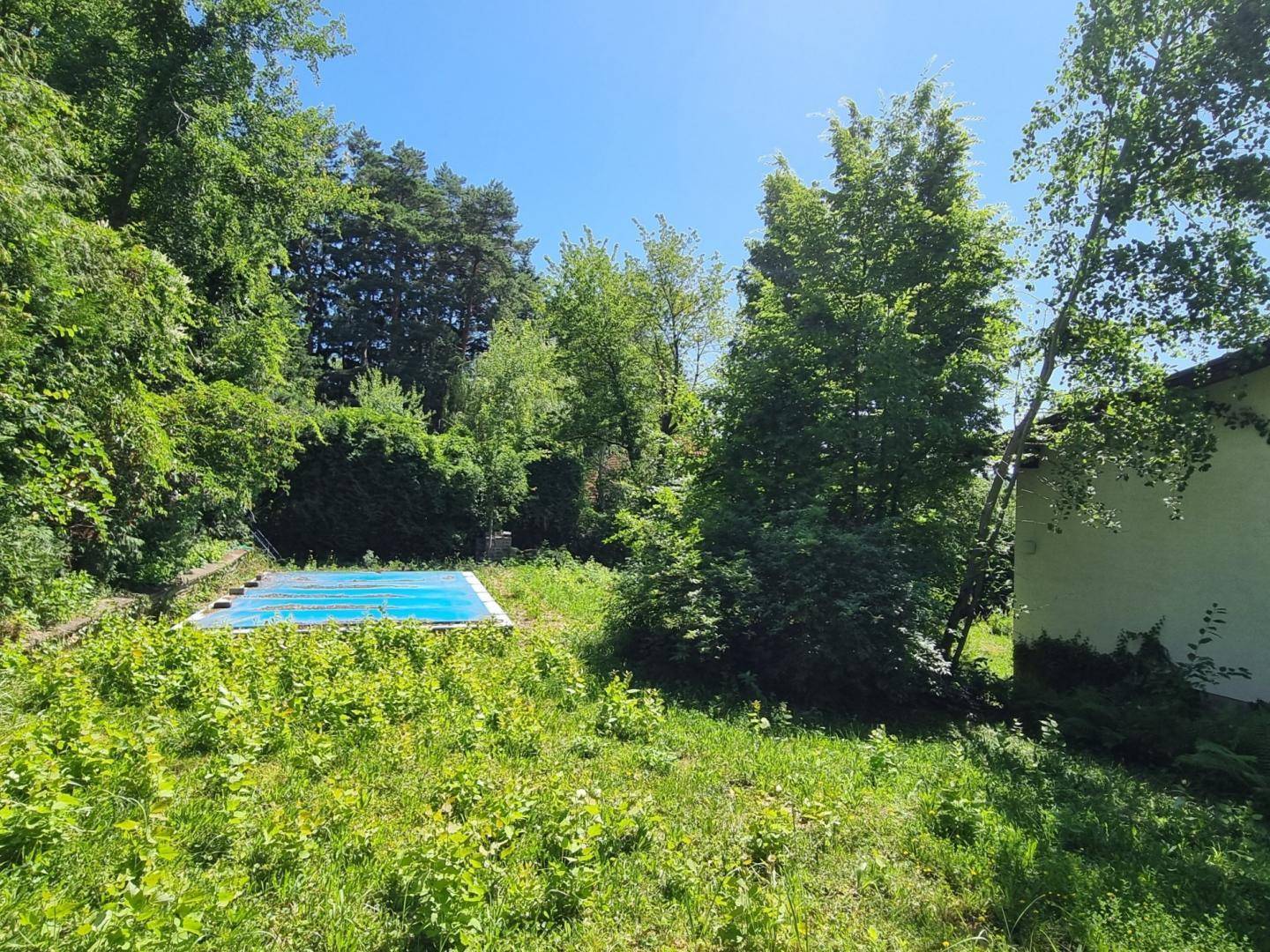 Weitläufiger Gartenbereich mit einem abgedeckten Pool, umgeben von üppigem Grün und Bäumen.