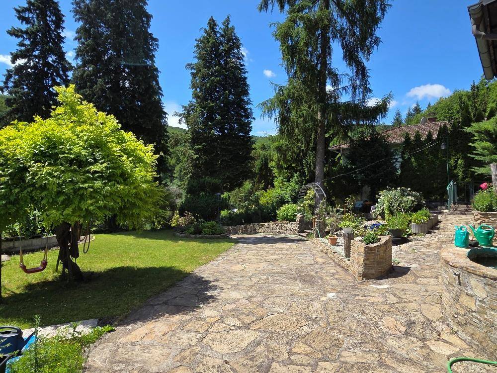 Große gepflasterte Fläche im Garten mit angrenzendem Rasen und hohen Bäumen.