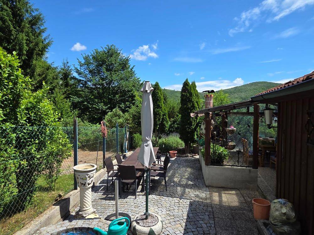 Weitläufige gepflasterte Terrasse mit großem Esstisch, Sonnenschirm und Blick ins Grüne.