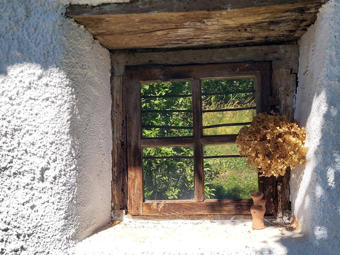 Nahaufnahme eines kleinen Holzfensters mit Blick auf grüne Vegetation und Trockenblumendekoration.