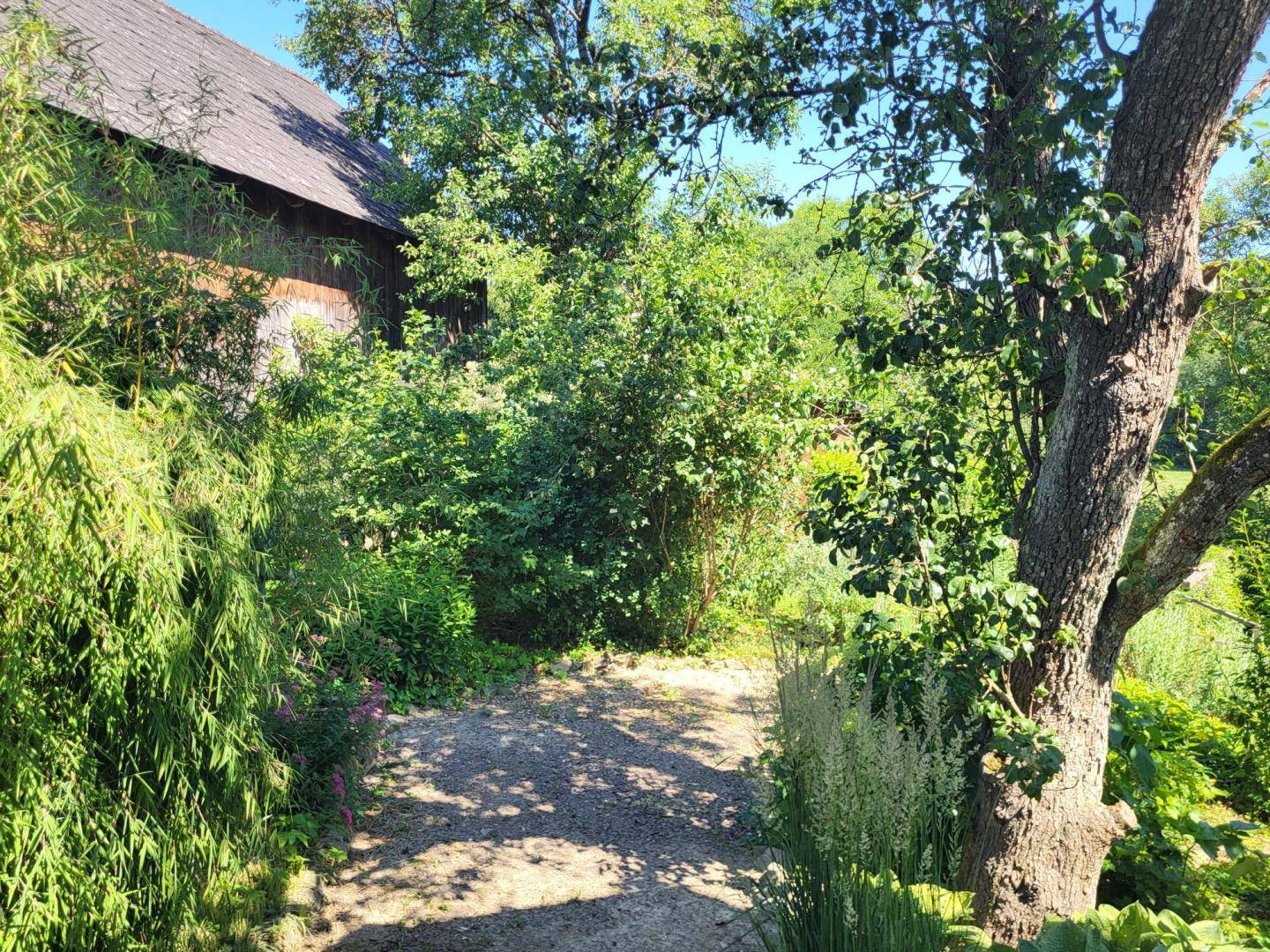 Sonniger Gartenweg umgeben von üppigem Grün und hohen Bäumen, der zu einem Gebäude führt.