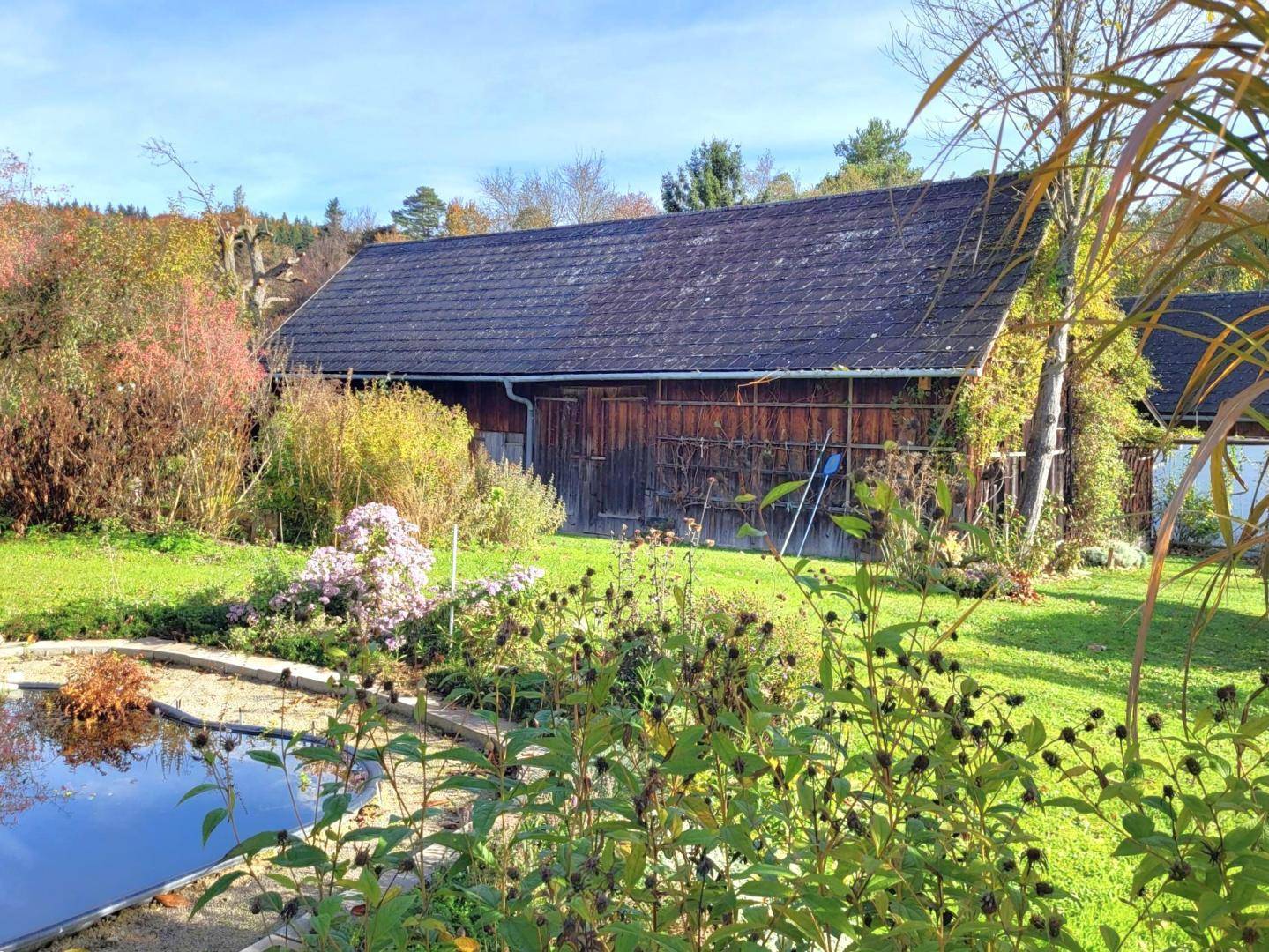 Gepflegter Gartenbereich mit einem Teich und einer rustikalen Scheune unter blauem Himmel.