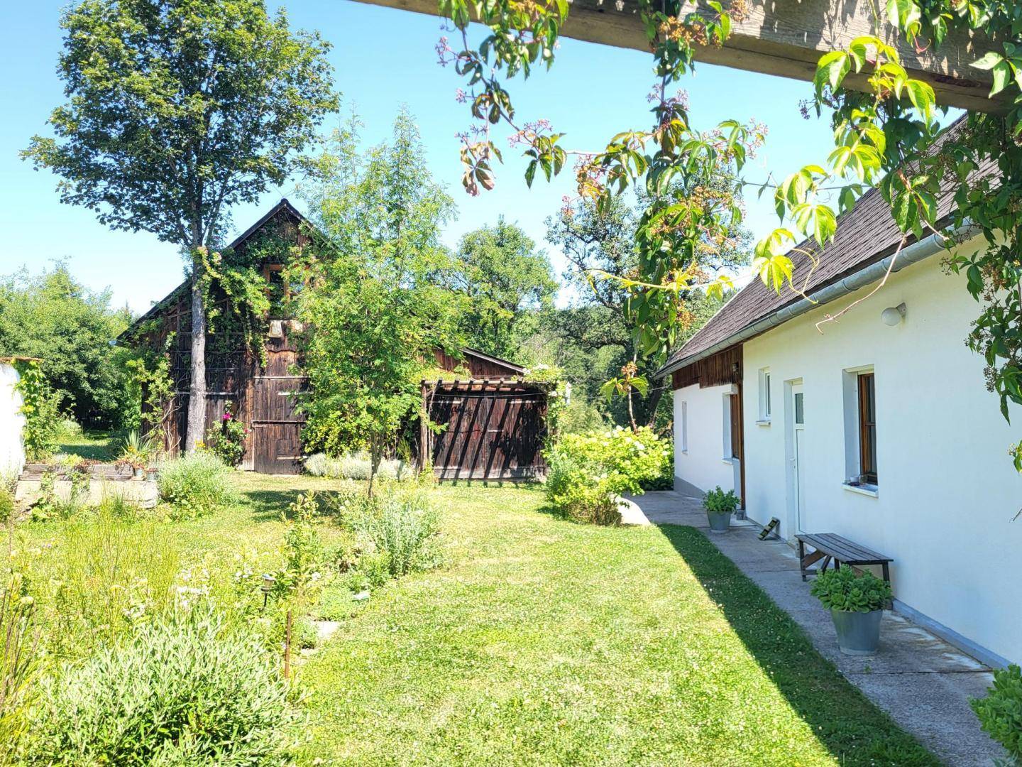 Weitläufiger Garten mit grünem Rasen, blühenden Pflanzen und Blick auf das weiße Haus.