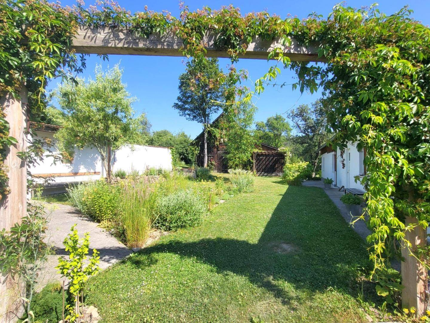 Grüner Garten mit bewachsener Holzpergola, Rasenfläche und Blick auf die umliegenden Gebäude.