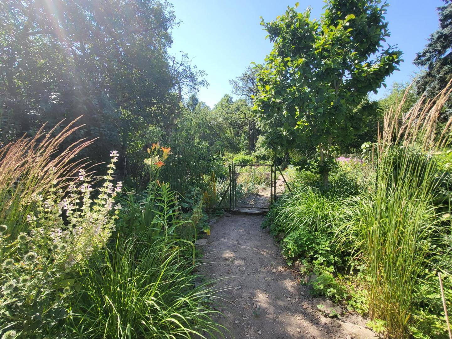 Gartenweg führt durch dichte Vegetation und Bäume zu einem Tor im Hintergrund.