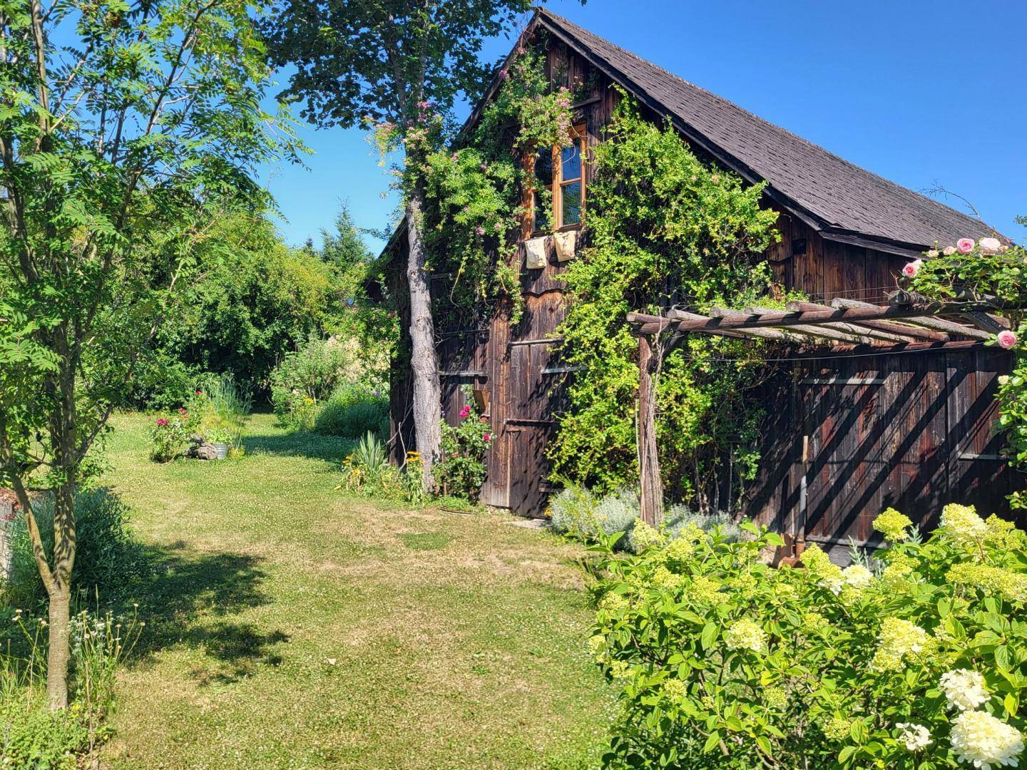 Rustikale Holzscheune mit üppigen Kletterpflanzen und einem gepflegten Rasen im Vordergrund.