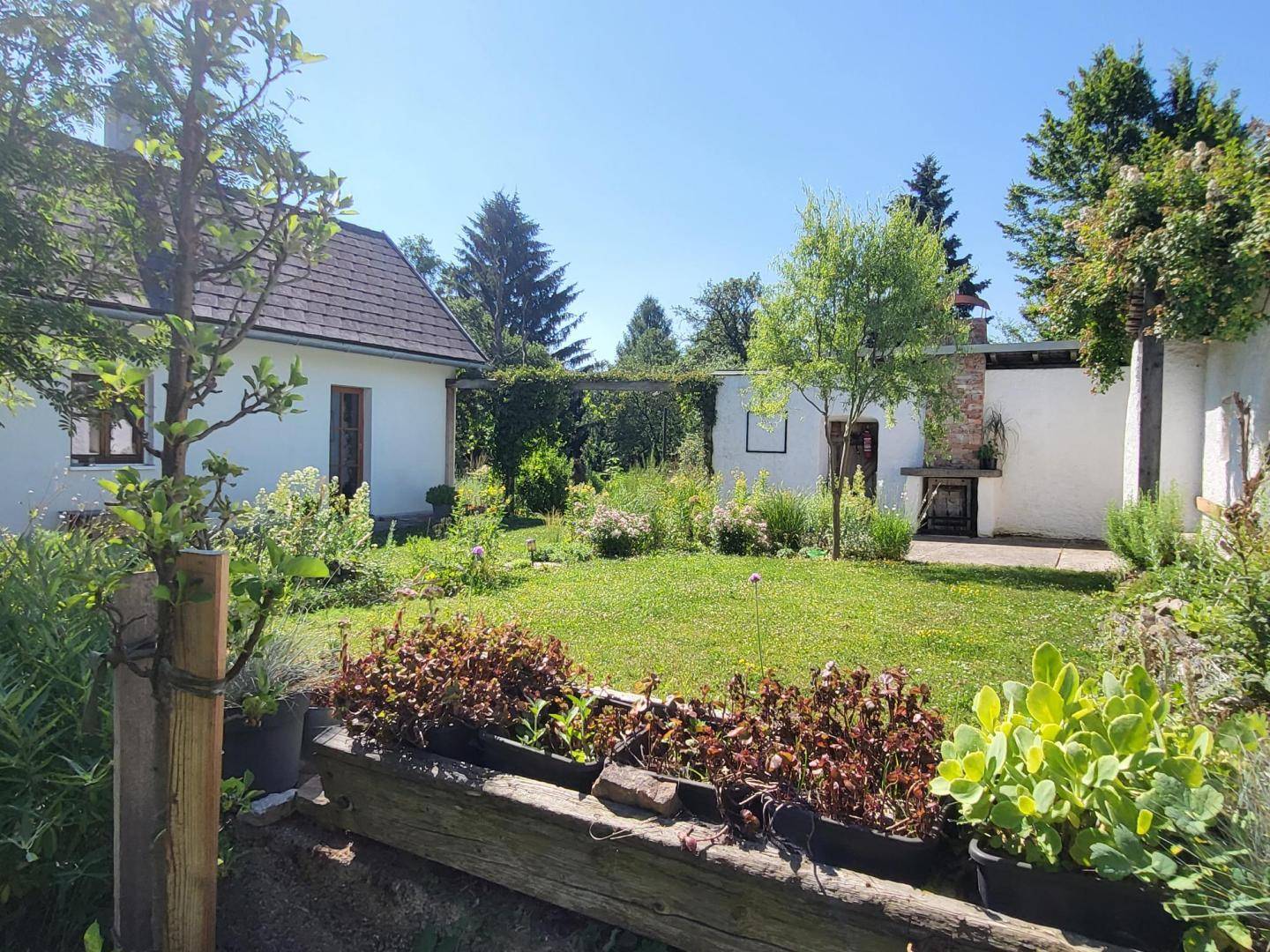 Weitläufiger Garten mit grünem Rasen, Hochbeeten und einem weißen Haus im Hintergrund.