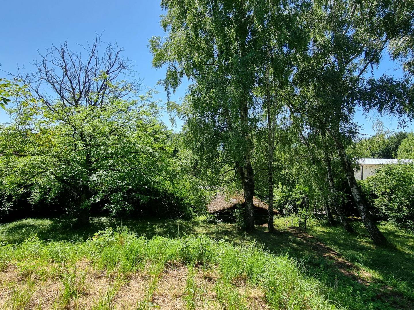 Idyllischer Garten mit hohen Bäumen und viel Grün, das zum Entspannen einlädt.