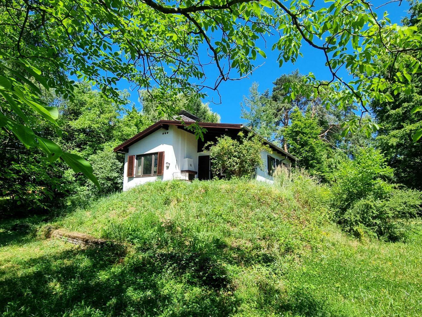 Das Haus ist idyllisch in die Natur eingebettet, umgeben von Bäumen und grünen Hügeln.