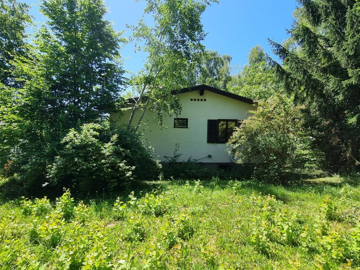 Rückansicht des Hauses, umgeben von dichtem Baumbestand und üppiger Vegetation.