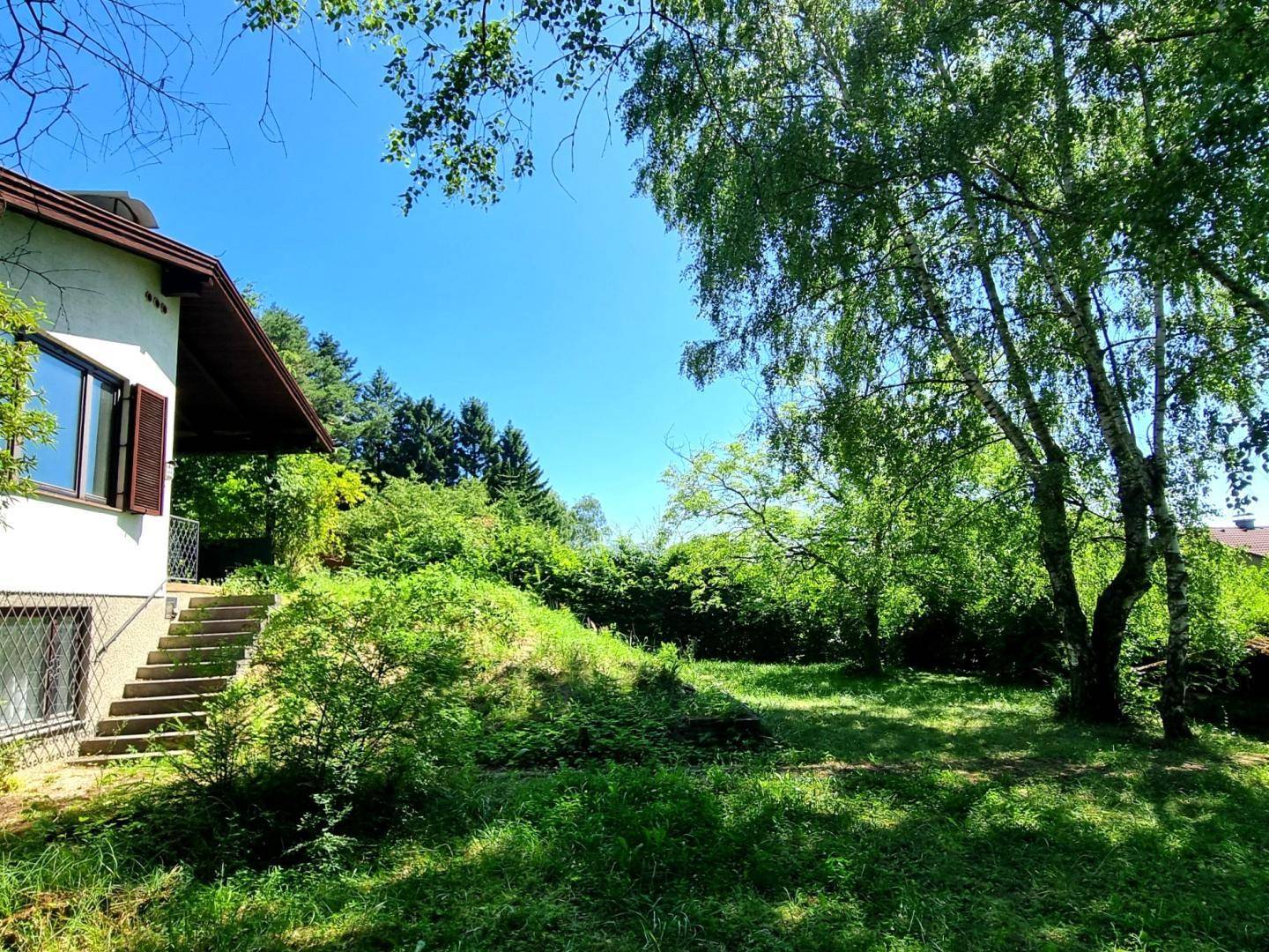 Großer, sonniger Gartenbereich mit Rasenfläche, alten Bäumen und einer Treppe am Haus.