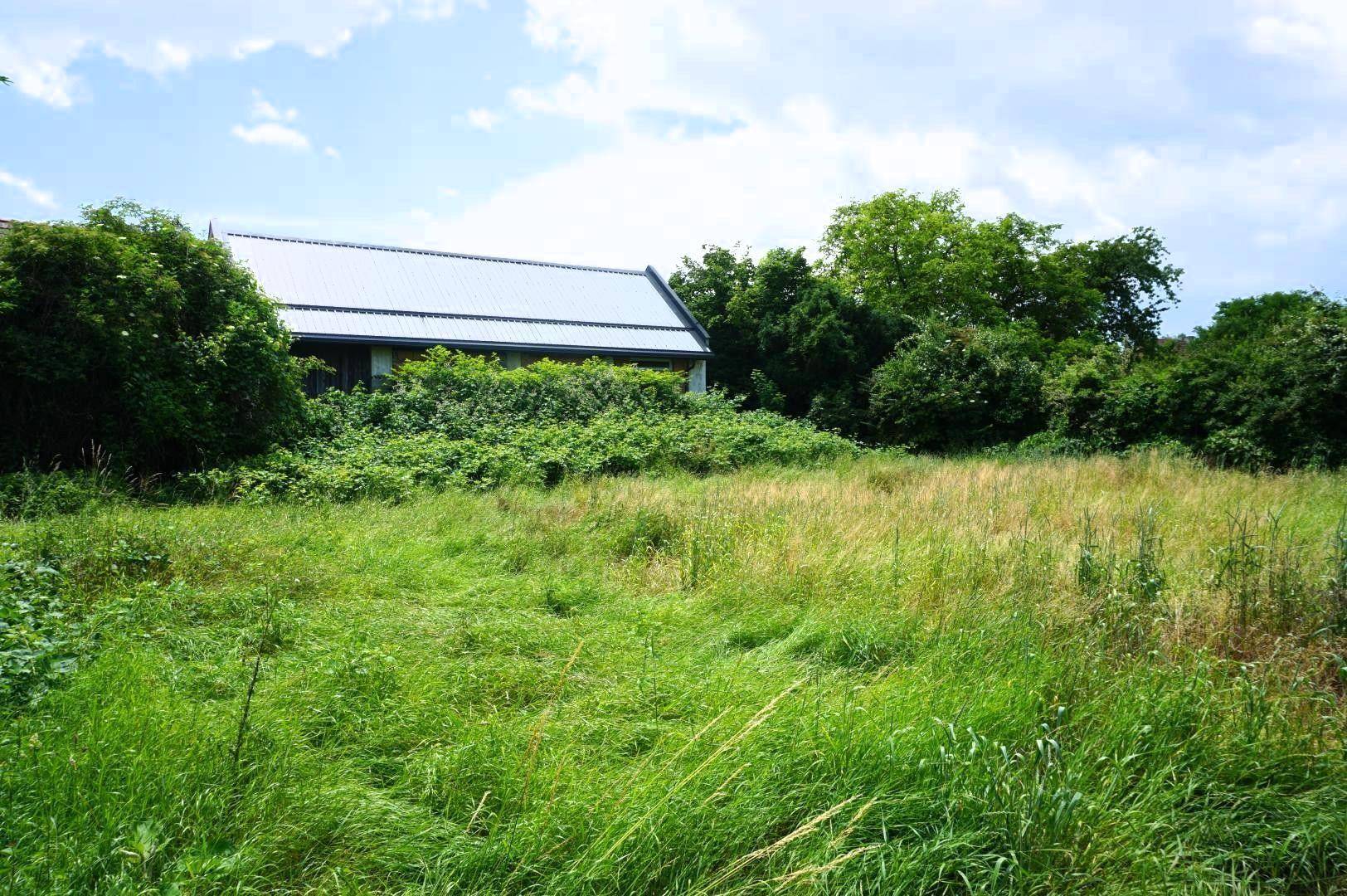 Ein Wohnhaus mit Satteldach, teilweise von dichtem Grün verdeckt, umgeben von einer großen Wiese.