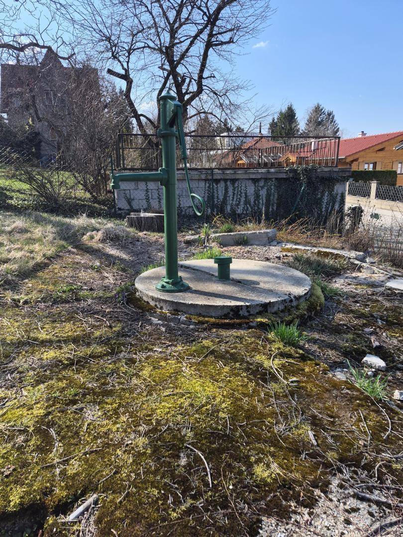 Historische grüne Handschwengelpumpe auf einer Betonplatte in einem naturbelassenen Gartenbereich.
