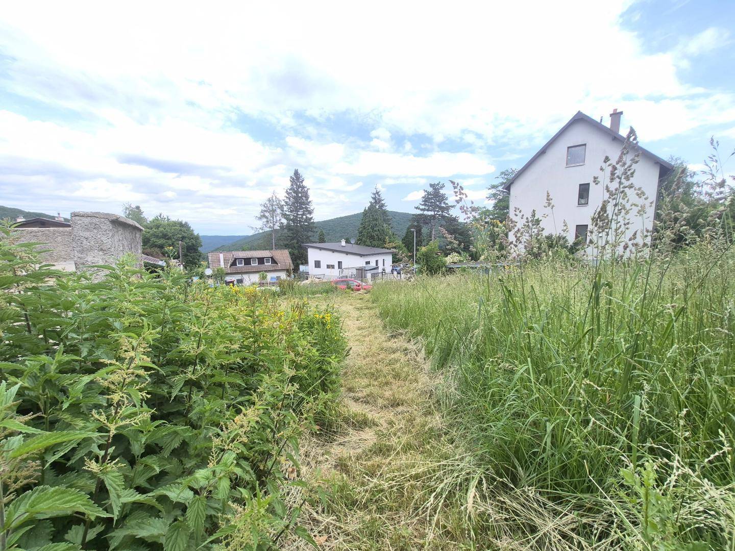 Pfad durch hohes Gras mit Blick auf die umliegenden Häuser und die bewaldete Landschaft.