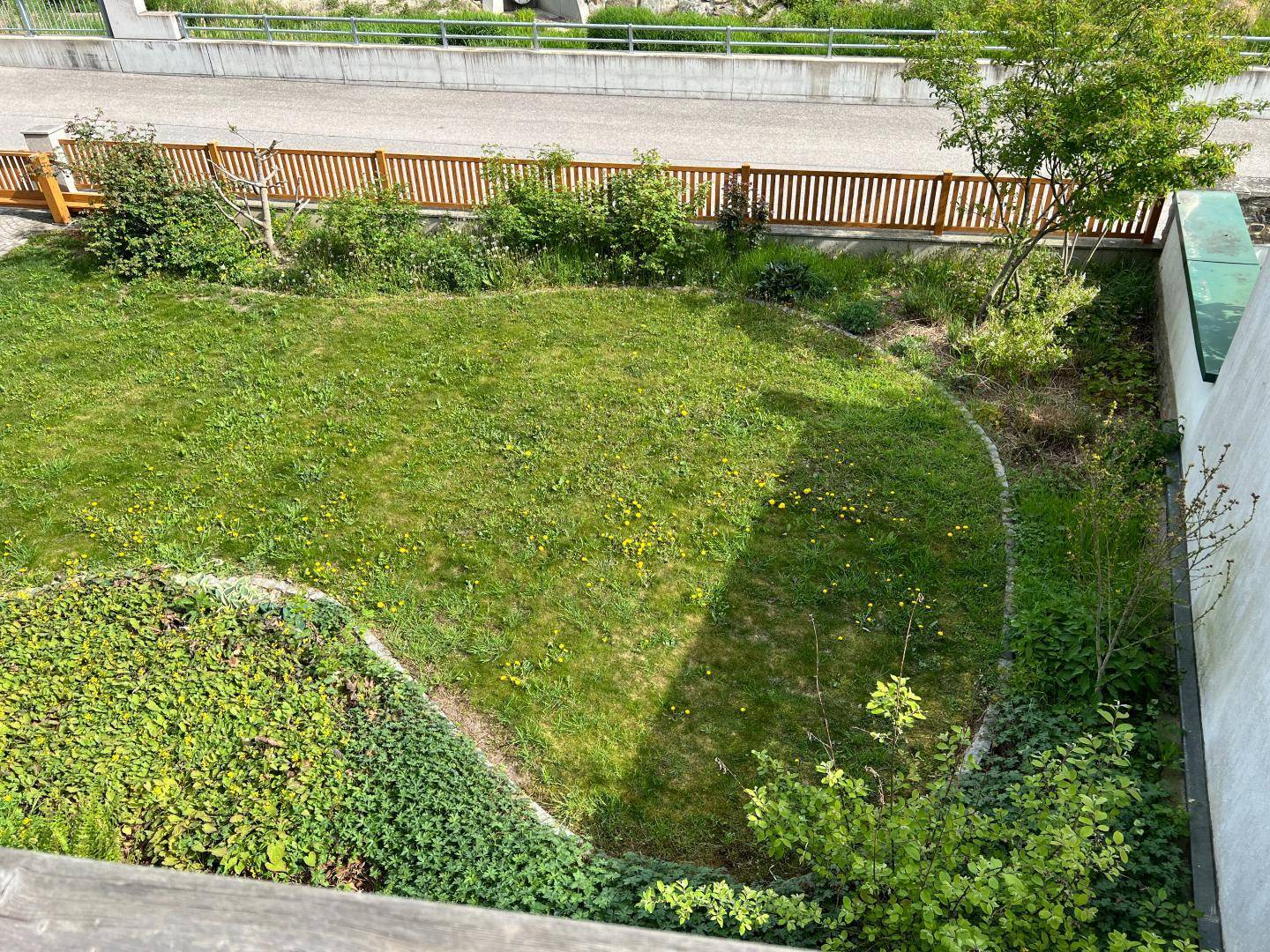 Gepflegter Garten mit weitläufigem Rasen und üppigen Sträuchern, umgeben von einem Holzzaun.