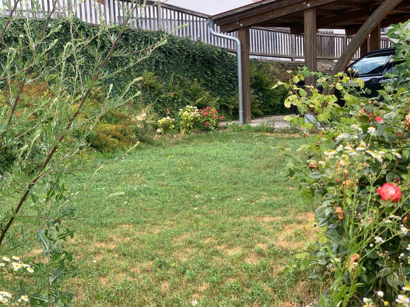 Grüner Gartenbereich mit Rasen, blühenden Sträuchern und einem Holzcarport im Hintergrund.