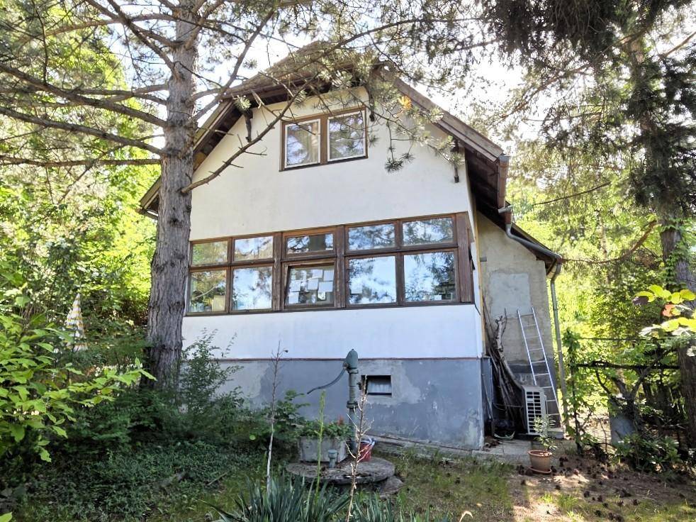 Seitenansicht eines Hauses mit vielen Fenstern, umgeben von Bäumen und Natur.