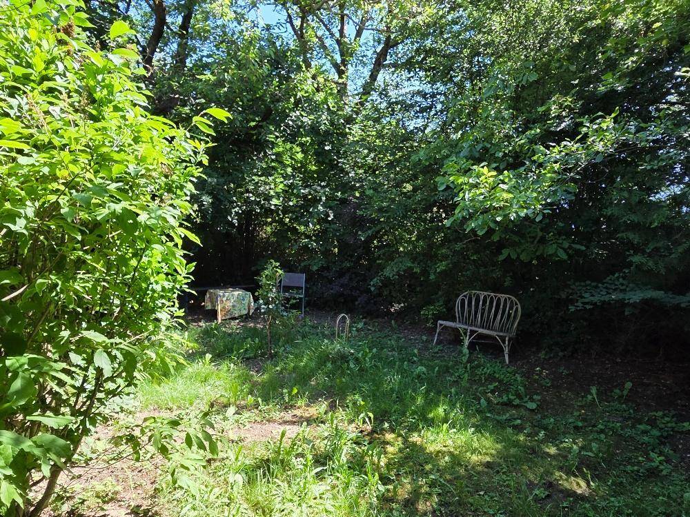 Naturbelassener Gartenbereich mit Rasenfläche, dichtem Baumbestand und einer rustikalen Sitzgelegenheit.