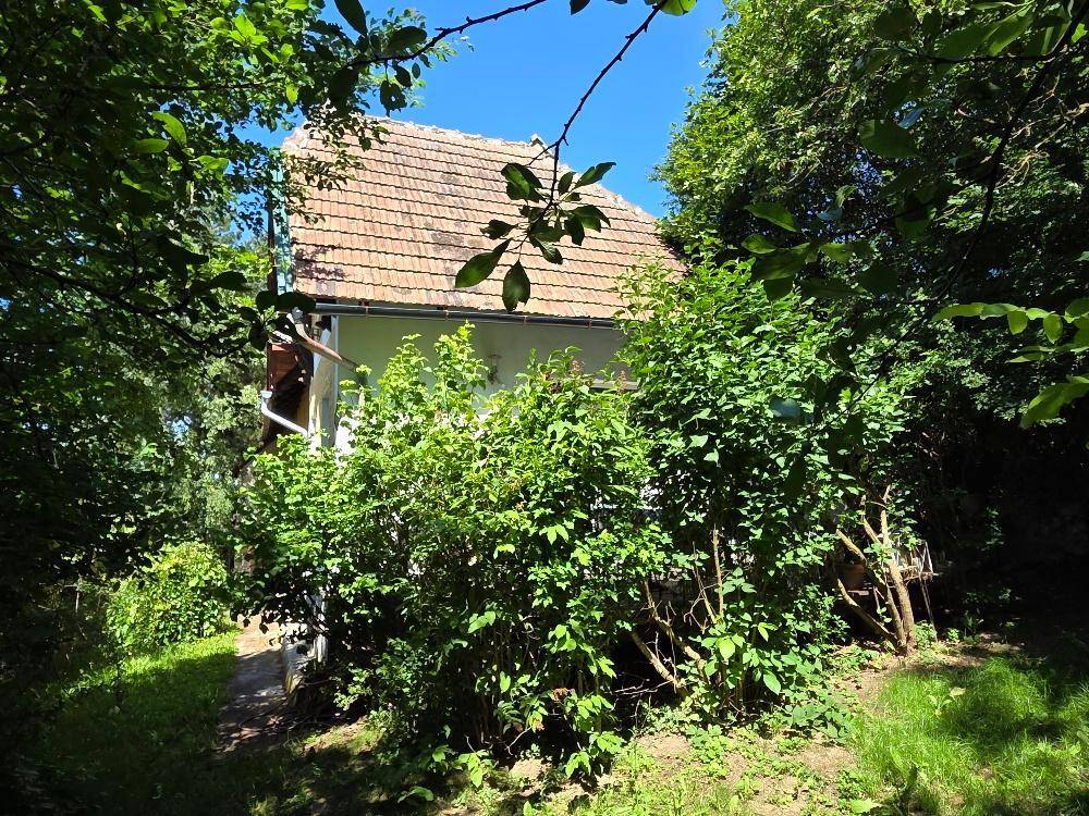 Das Haus ist von einem dichten Baumbestand umgeben, der die Rückseite teilweise verdeckt.