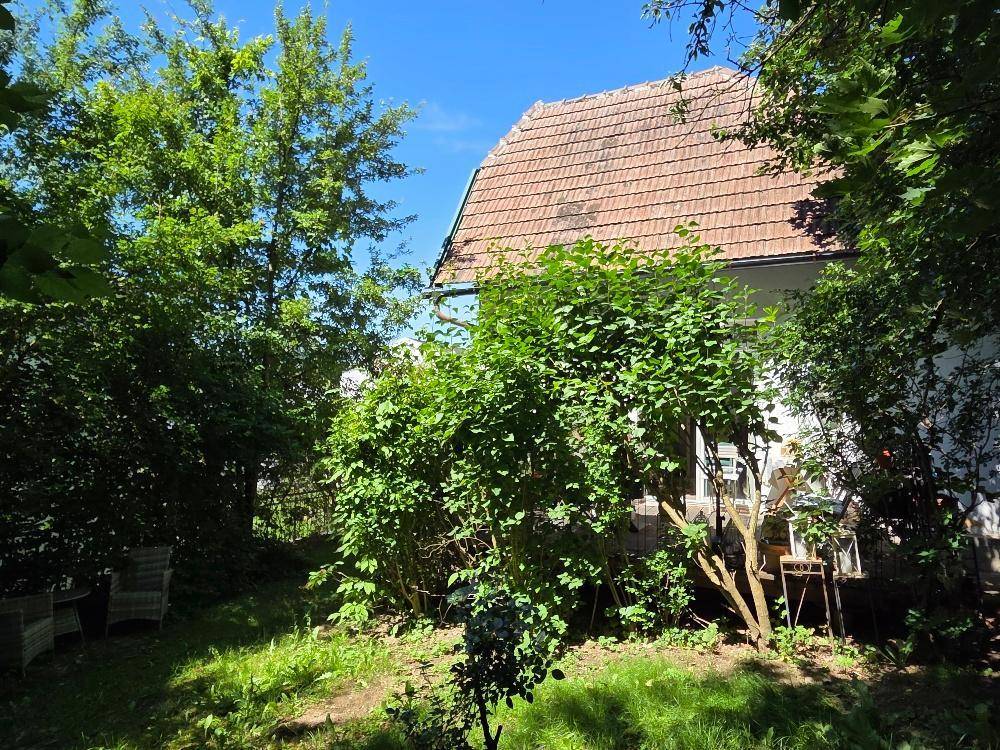 Rückseite des Hauses mit Ziegeldach, umgeben von dichtem Grün und hohen Bäumen.