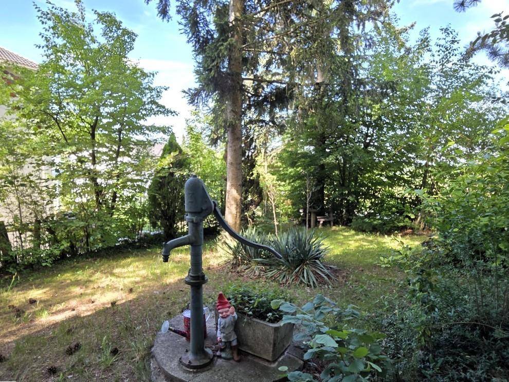 Grüner Garten mit alter Wasserpumpe, Bäumen und einem Gartenzwerg.
