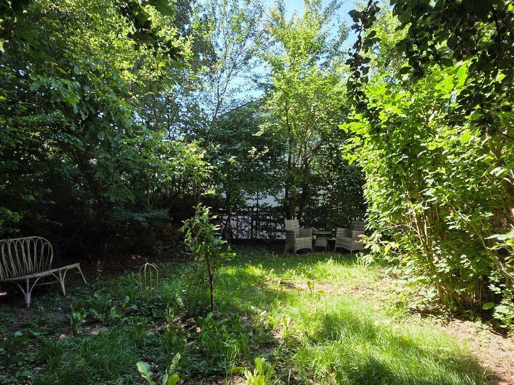 Sonniger Garten mit üppiger Vegetation, Rasen und einer charmanten Holzbank im Grünen.