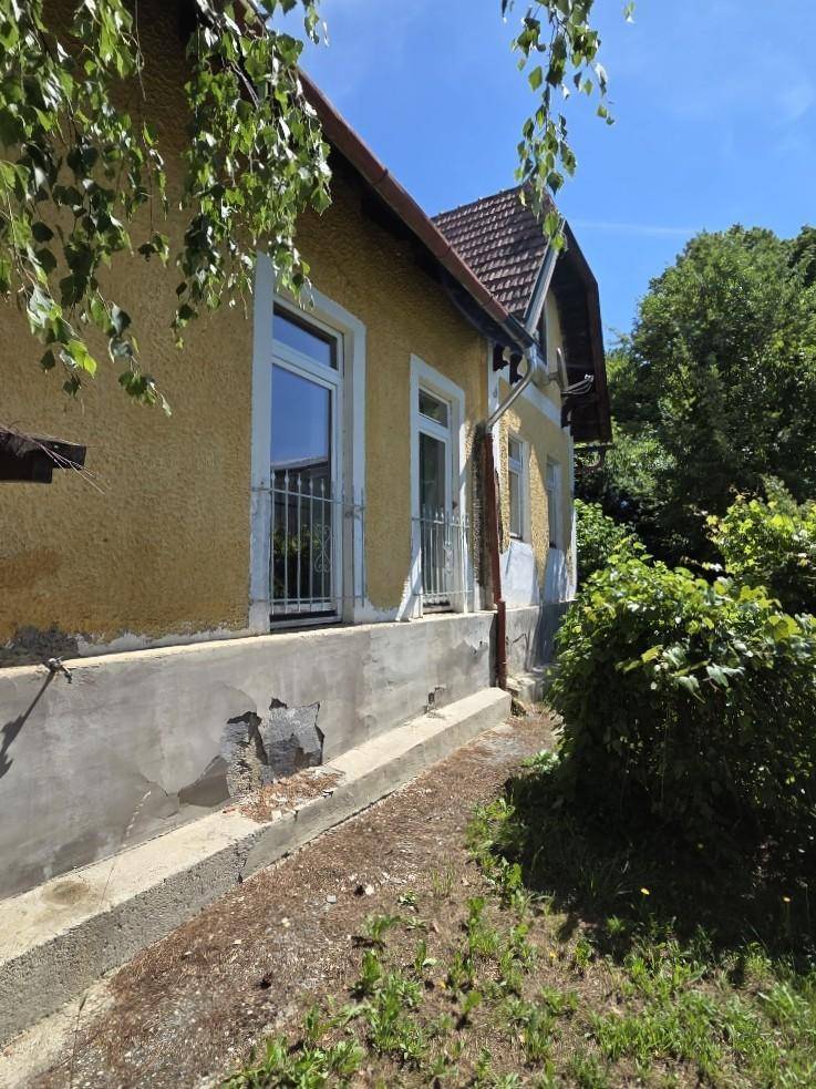 Gelbe Hausfassade mit weißen Fenstern und sichtbaren Abnutzungserscheinungen, umgeben von Grün.