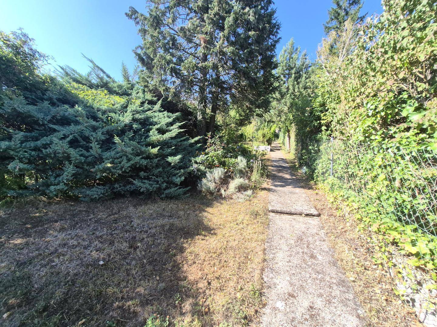 Schmaler Gartenweg umgeben von dichtem Grün und Bäumen an einem sonnigen Tag.