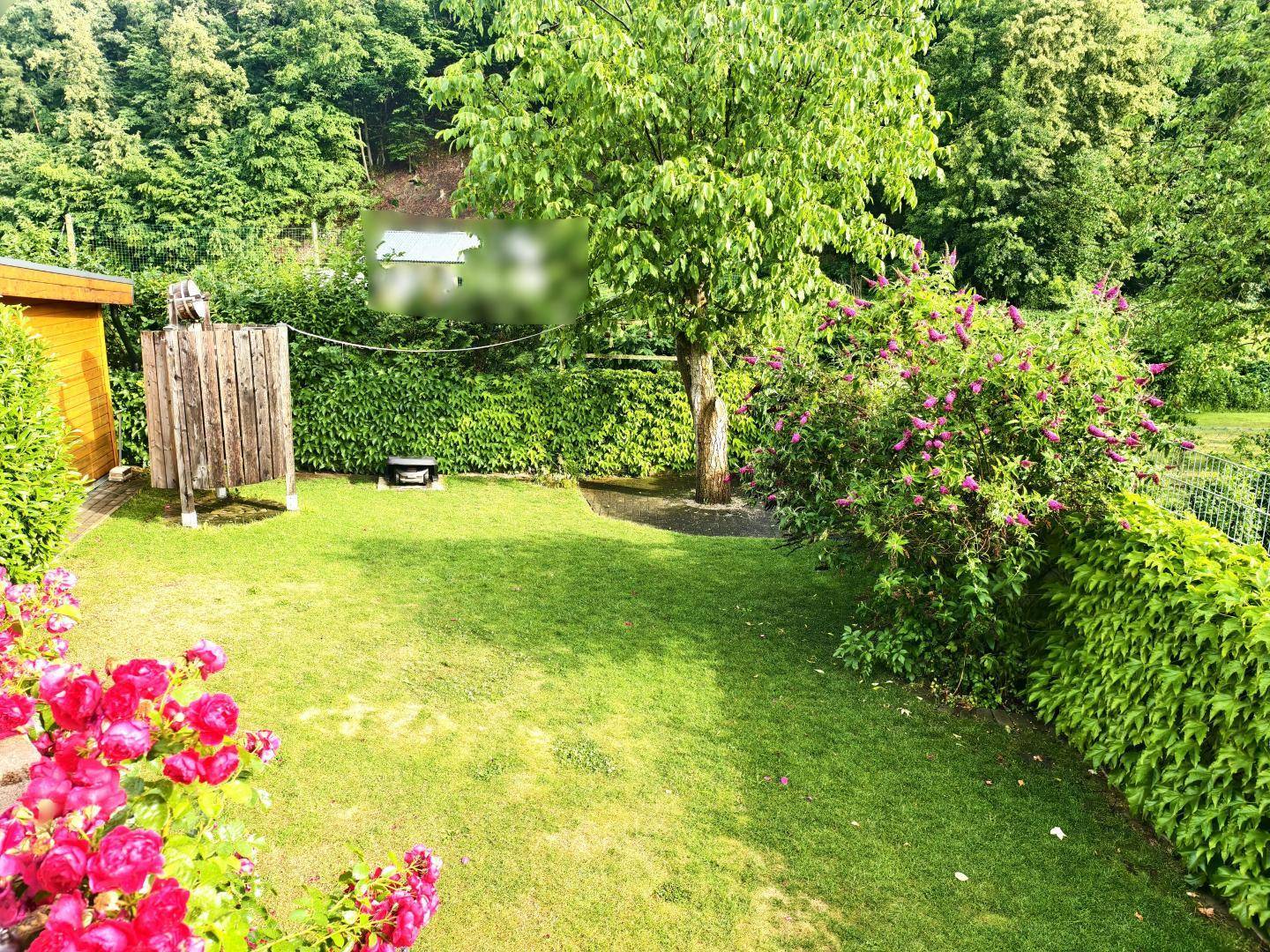 Sonniger Garten mit Rasen, blühenden Sträuchern und einer Außendusche für heiße Tage.
