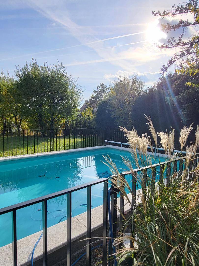 Der Swimmingpool im Garten glänzt im Sonnenlicht, umgeben von üppiger Vegetation und einem schützenden Zaun.