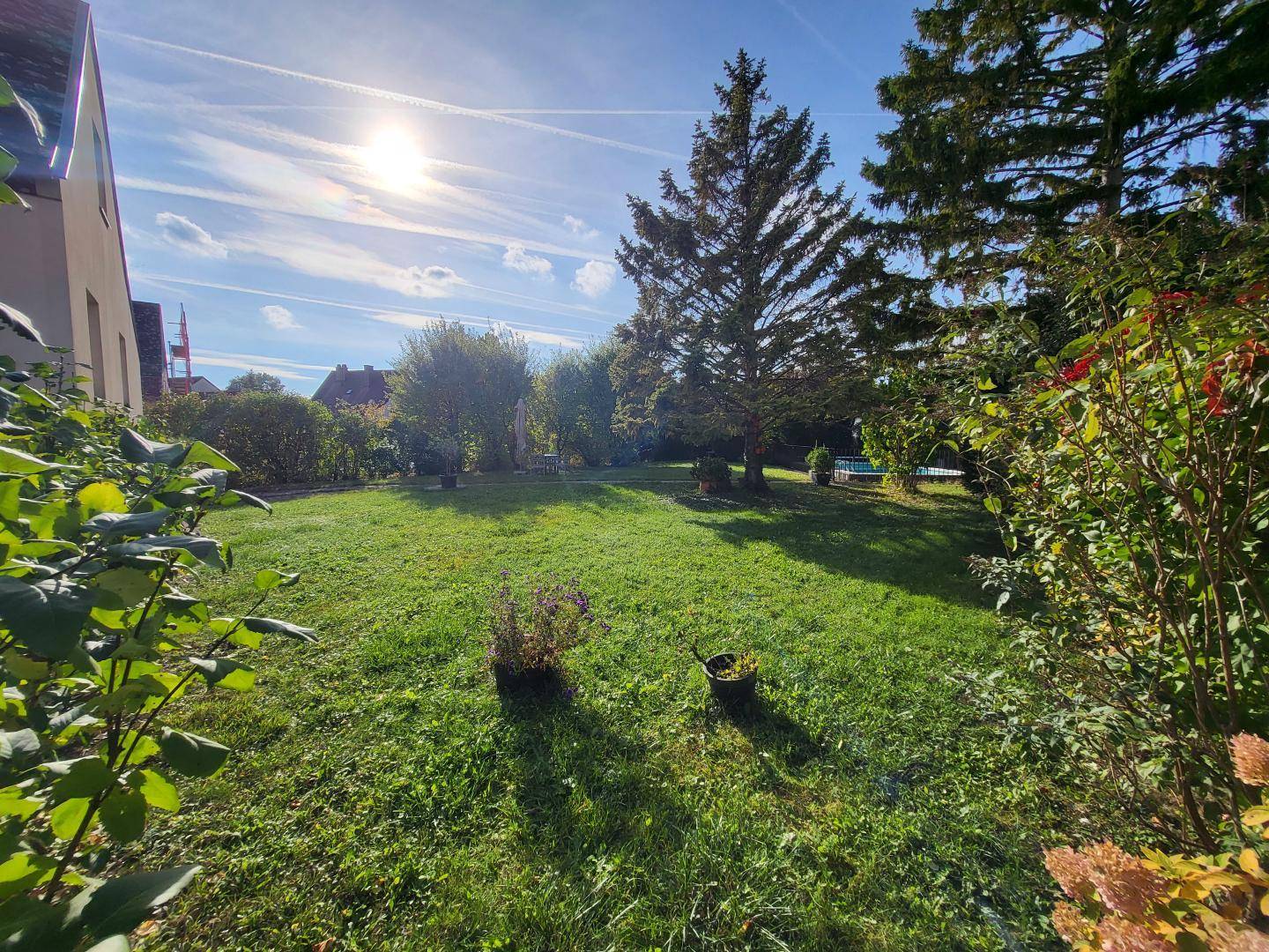 Weitläufige Rasenfläche des Gartens unter blauem Himmel, mit Blick auf den Poolbereich in der Ferne.