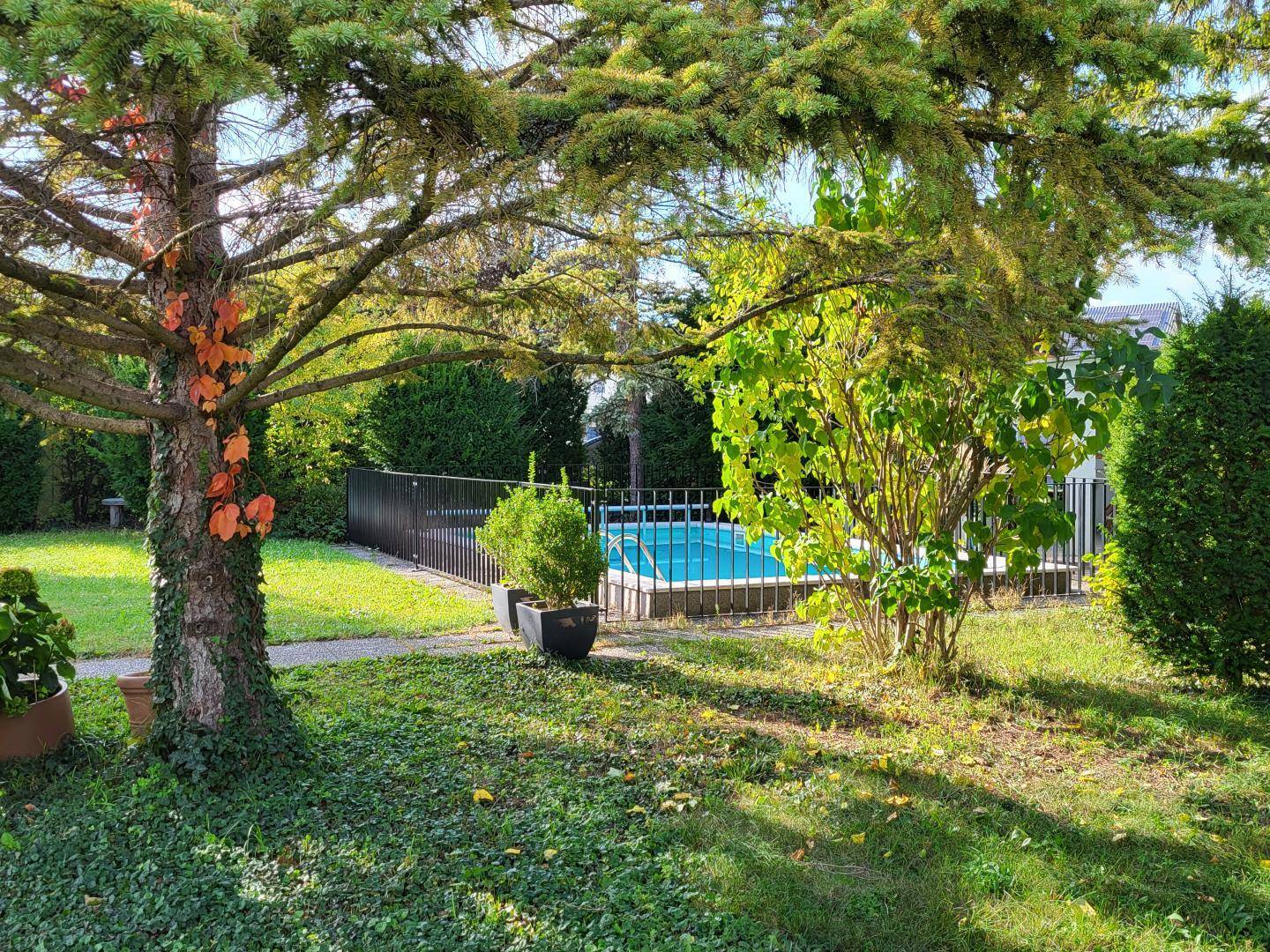 Blick durch Bäume auf den umzäunten Swimmingpool im sonnigen Gartenbereich des Anwesens.
