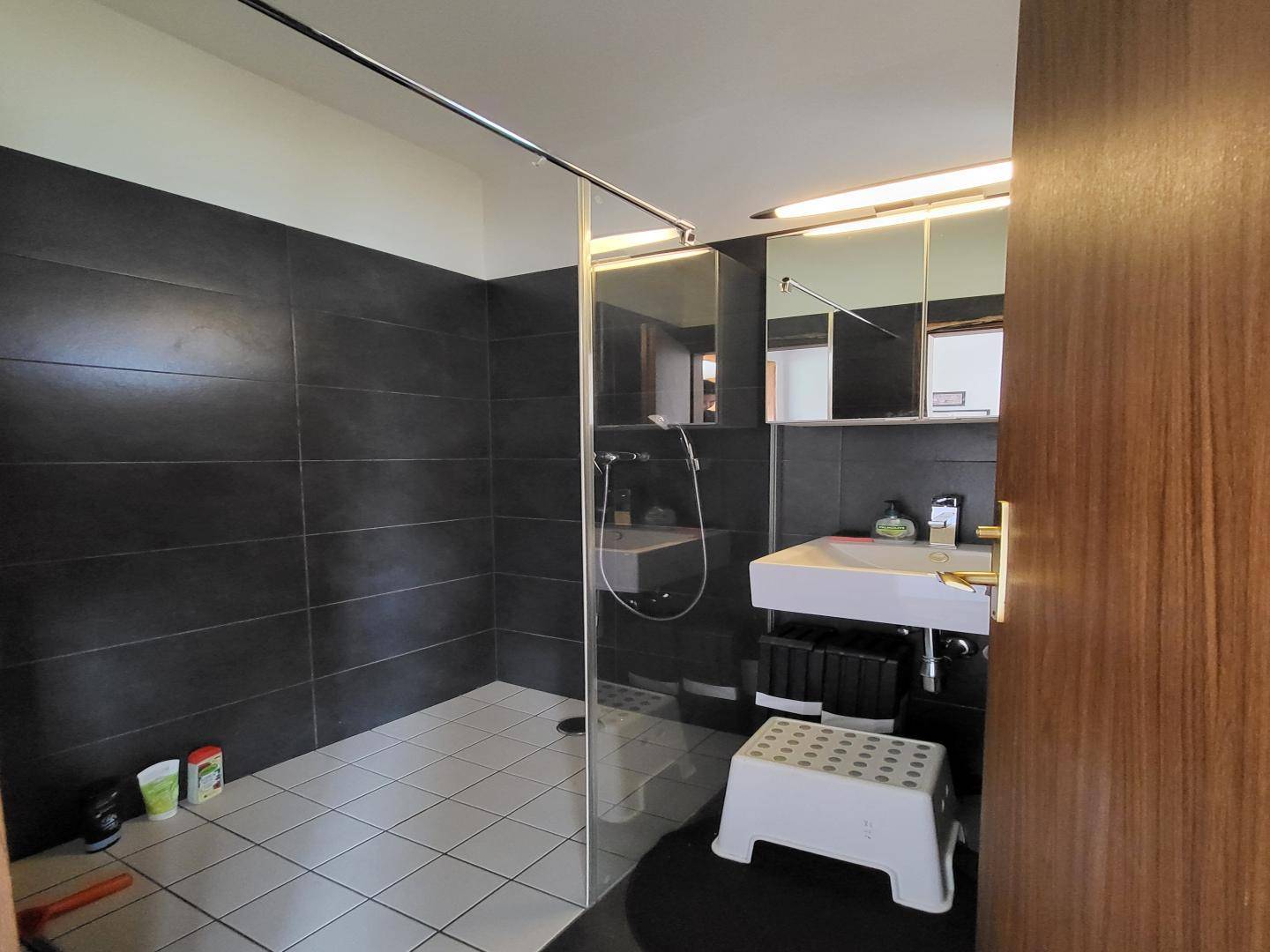 Modernes Badezimmer mit dunklen Fliesen, begehbarer Dusche und einem Waschbecken mit Spiegelschrank.