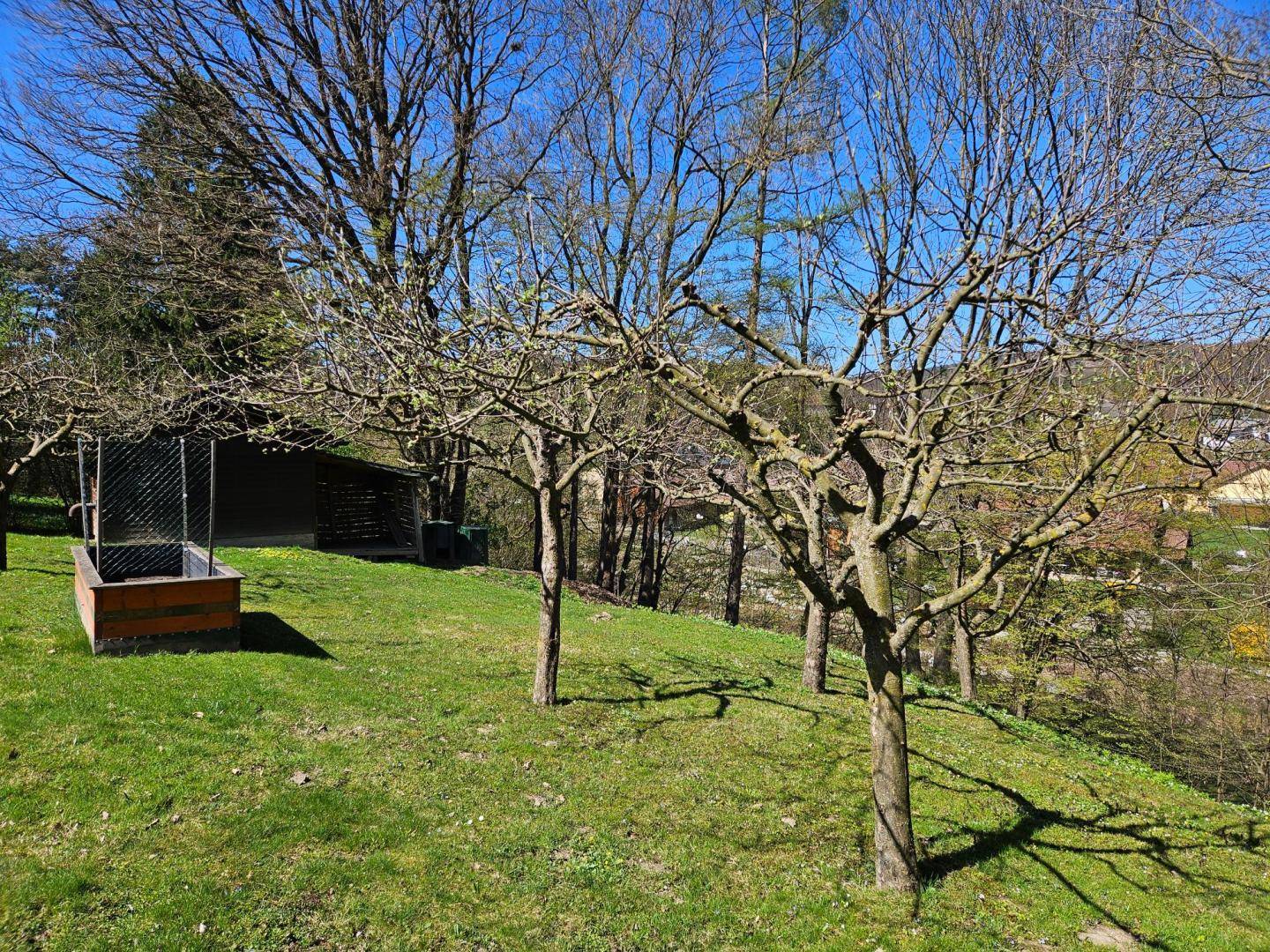 Naturbelassener Gartenbereich mit Obstbäumen und einem Hochbeet auf einem Hanggrundstück.