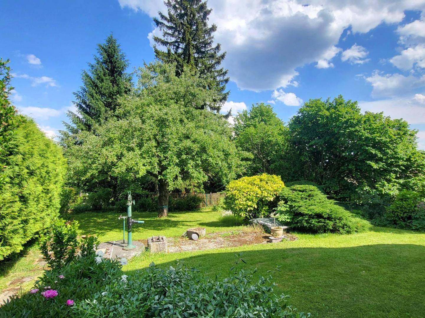 Sonnige Gartenfläche mit Rasen, Sträuchern und einem alten Wasserbrunnen.