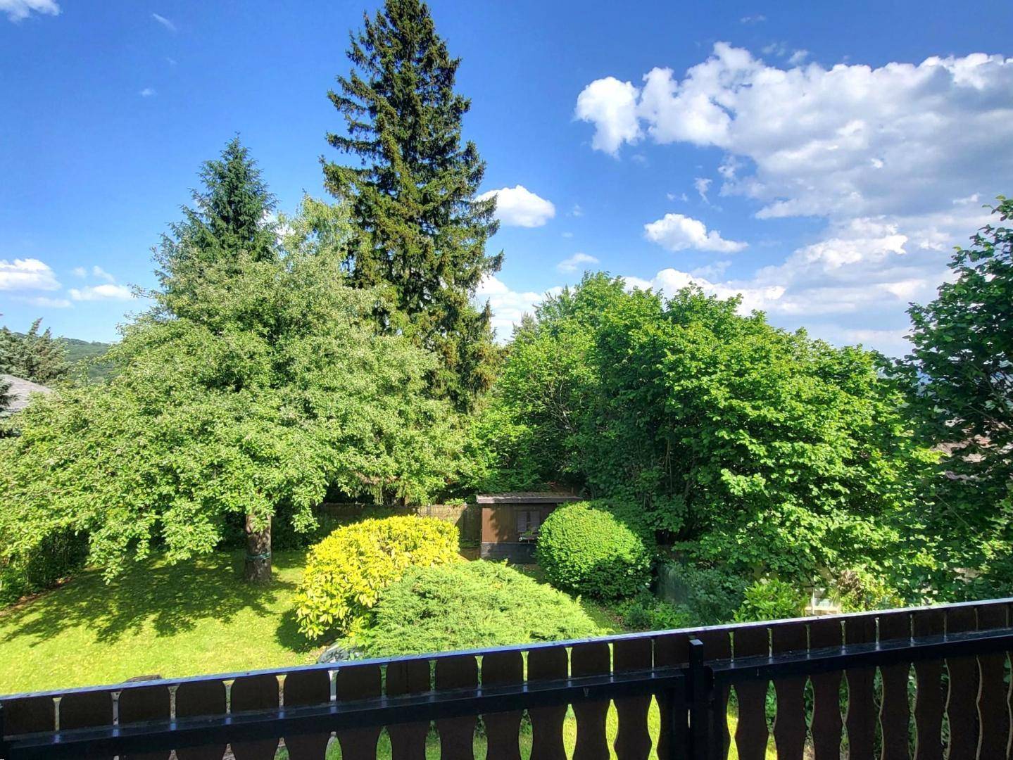 Panoramablick von einem Balkon über die üppige grüne Landschaft mit hohen Bäumen.