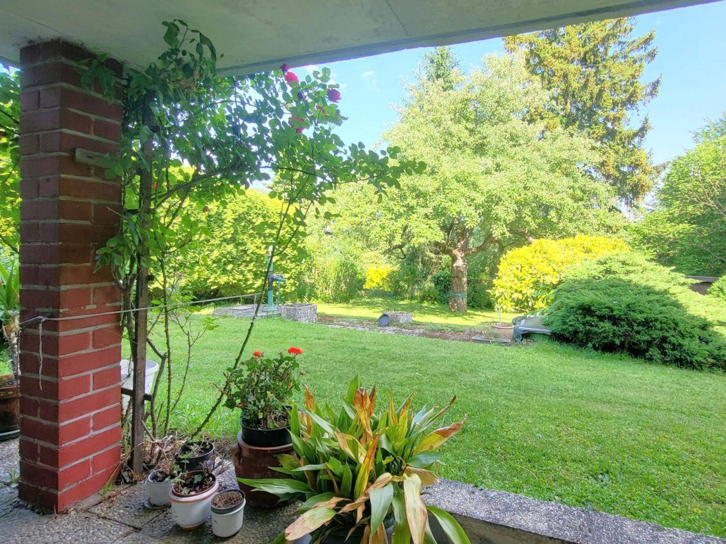 Überdachter Sitzbereich mit Blick auf den weitläufigen, grünen Garten mit Bäumen.