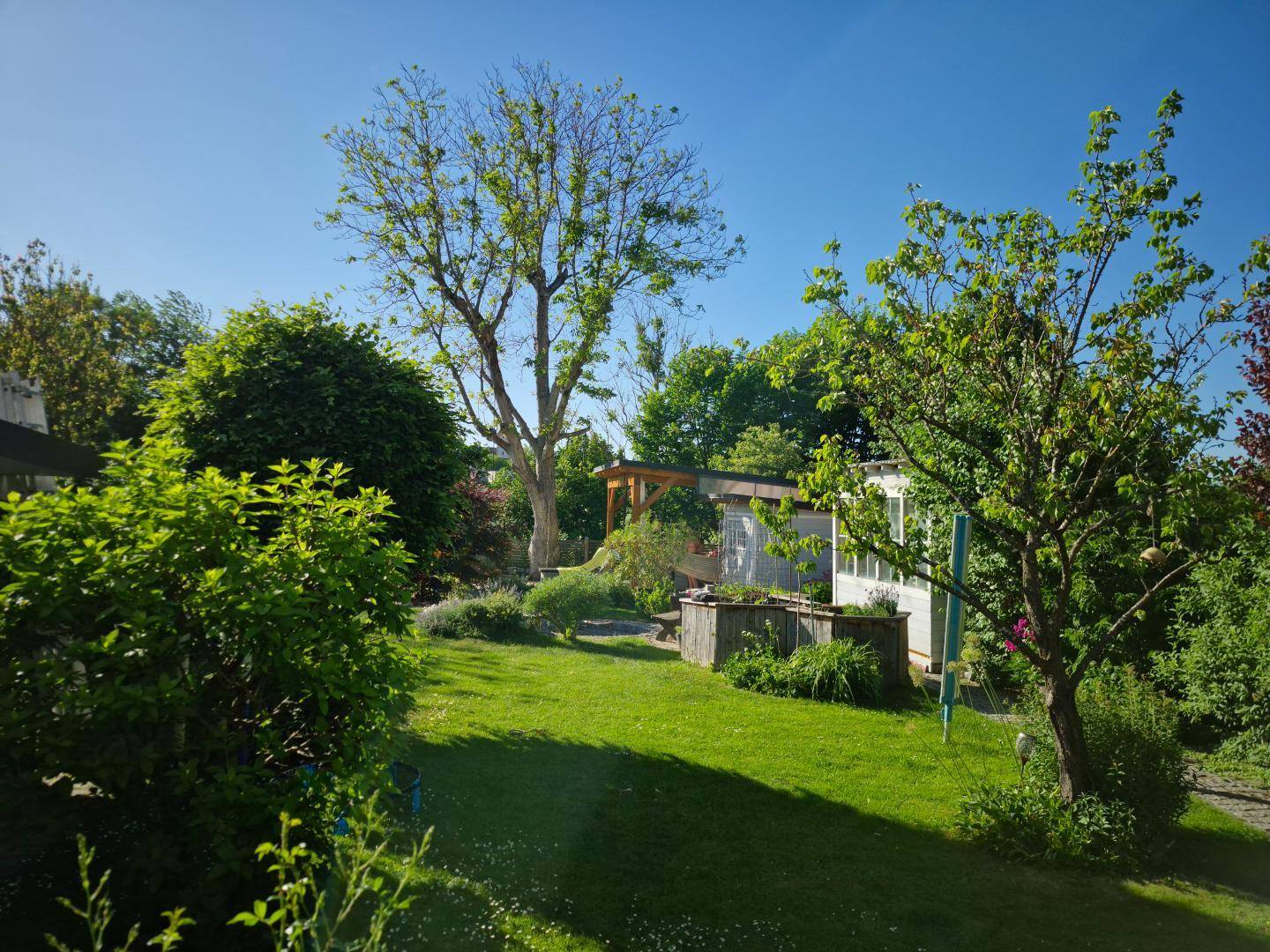 Großer, sonniger Garten mit weitläufiger Rasenfläche und altem Baumbestand, ideal zum Entspannen.