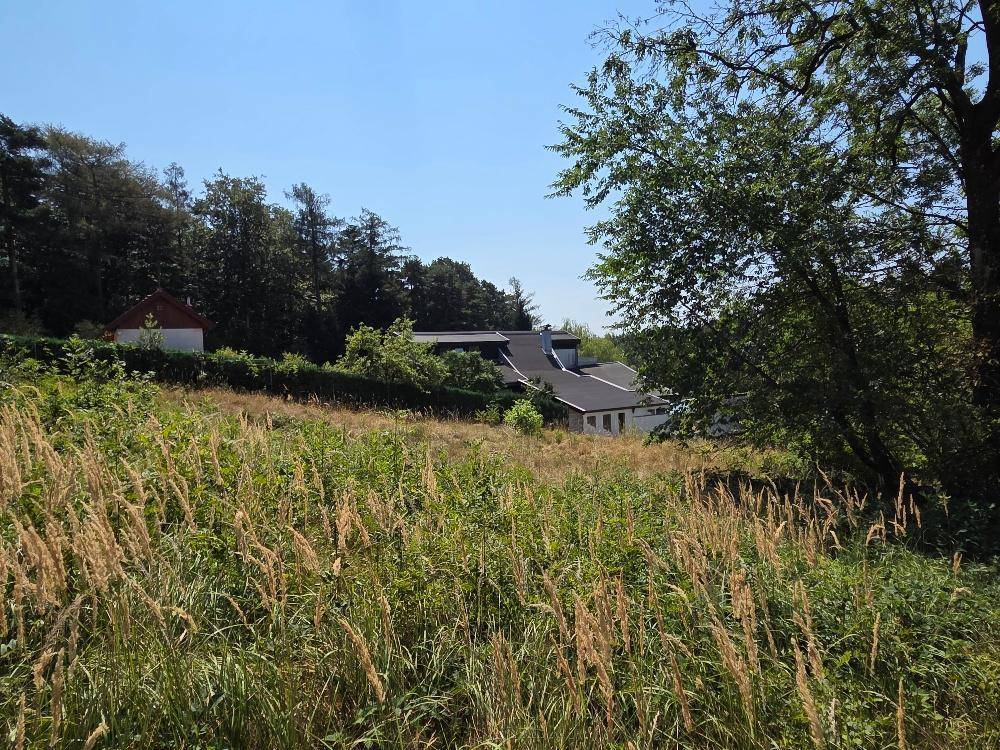 Grüne Wiesen und Bäume mit einem modernen Gebäude und dunklem Dach in der hügeligen Landschaft.